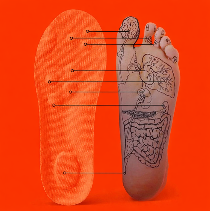 Semelles Confort & Soulagement Plantaire